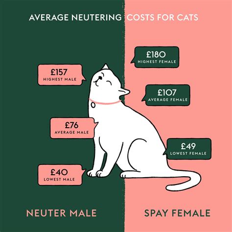 cheapest place in sturbridge area to have kitten spaded
